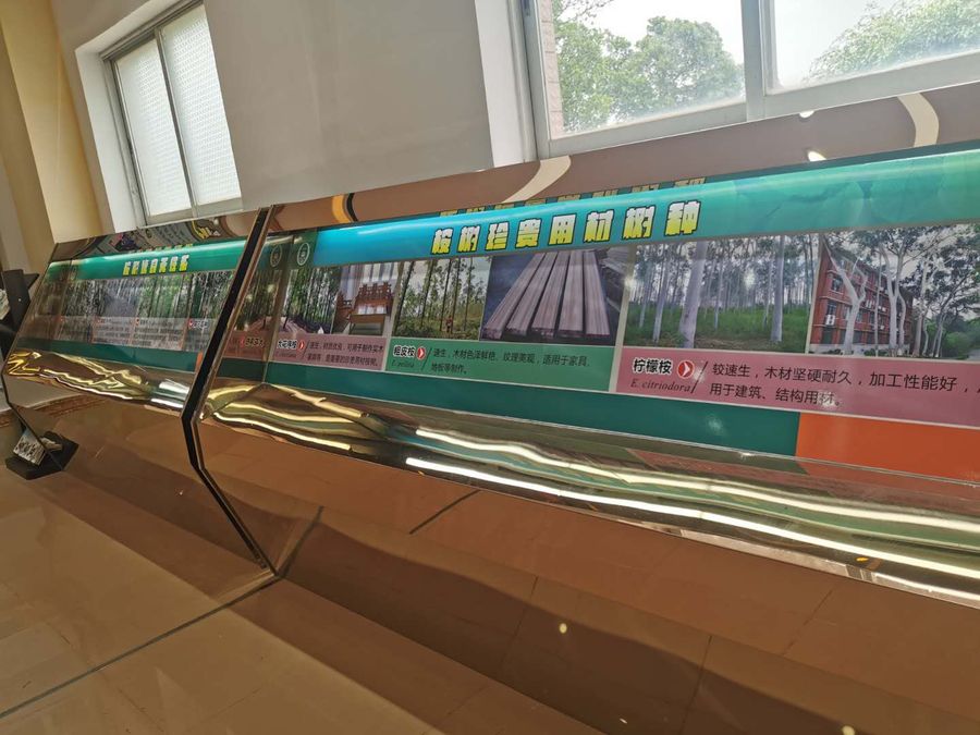 桉树科普馆1.jpg