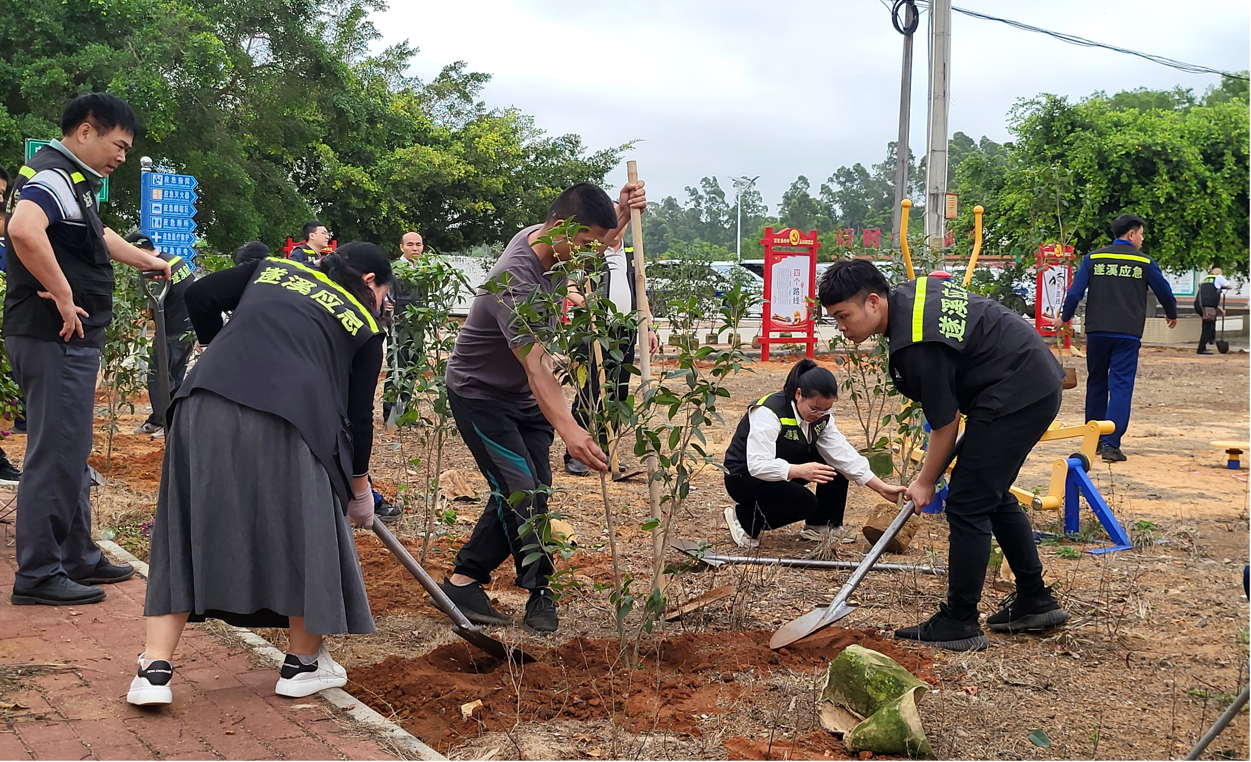 应急先锋植新绿 携手赋能“百千万工程”4.png