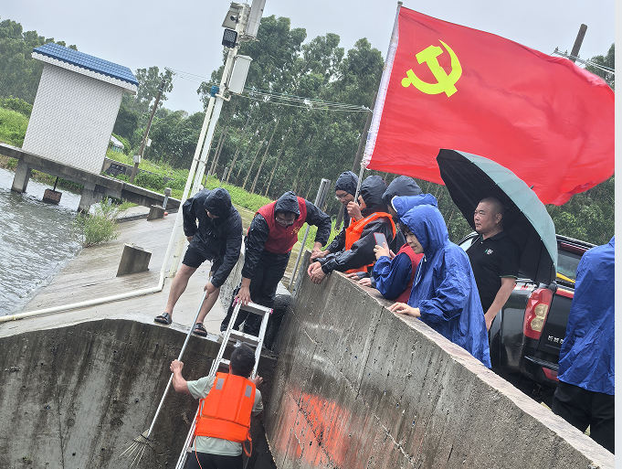 迎战“蝴蝶”勇守护，蝶舞乱飞“遂”尤安