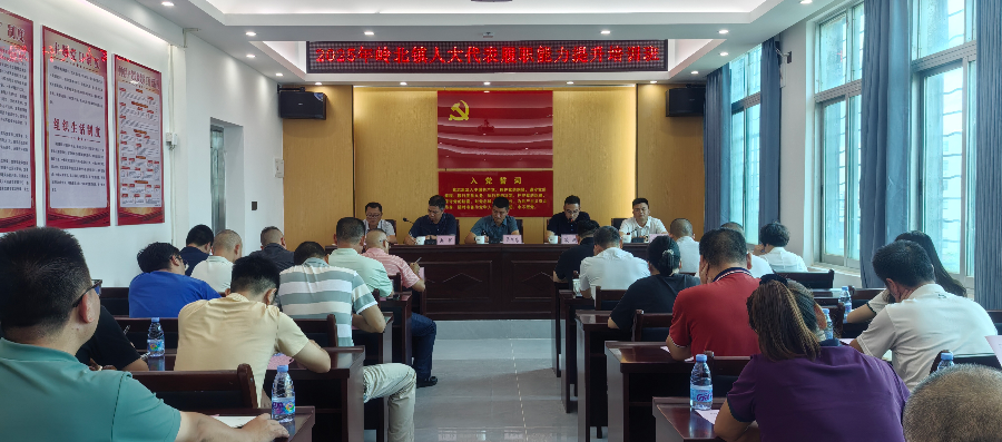 岭北镇人大：举办代表履职能力提升培训班